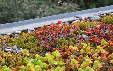 the cost of Farningham green roof installation
